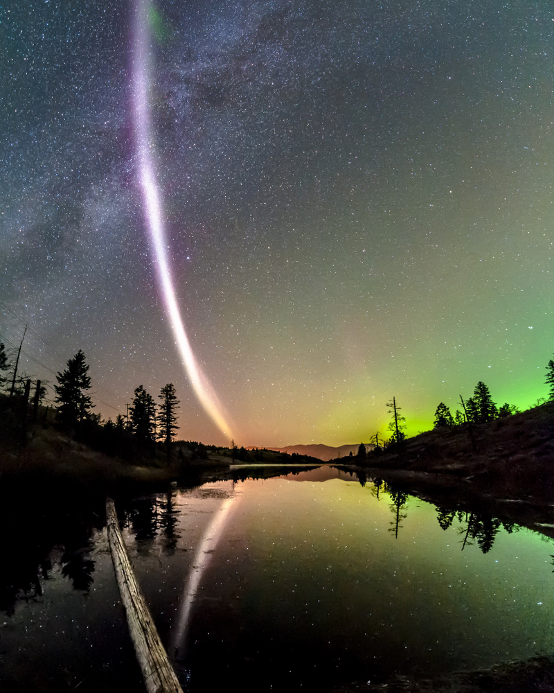 Image: Dave Markel Photography